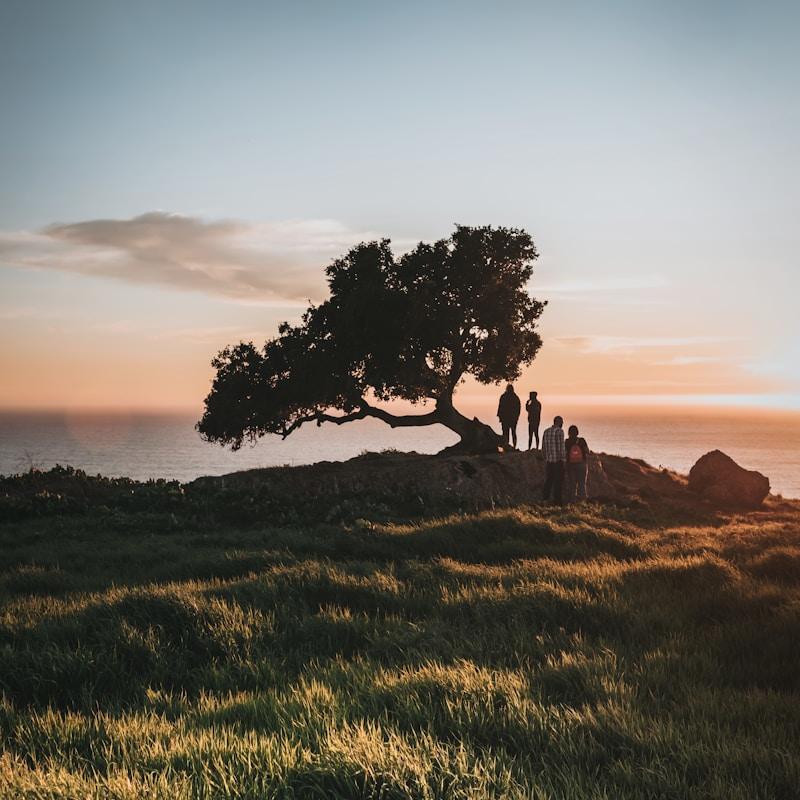 Decorative Photo Frame Set